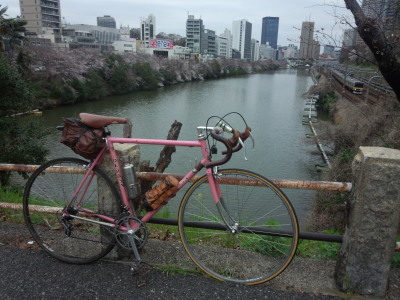 トーキョー桜巡り