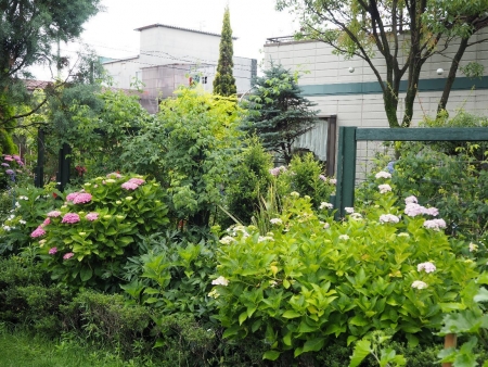 2018-06-20_13.jpg