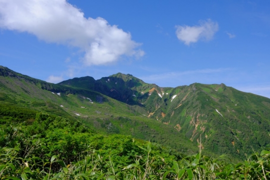 s-18年7月12日 (11)