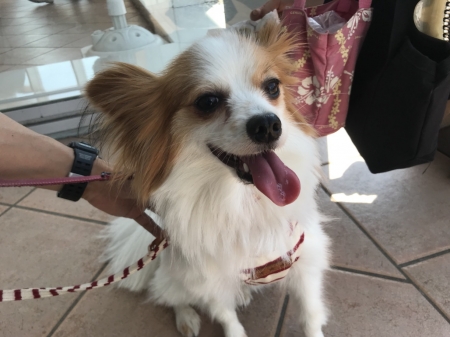 201806082244014b0.jpg