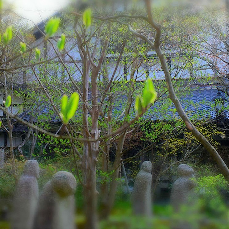 酒蔵