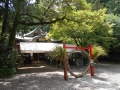 180630粟田神社の茅の輪