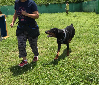 20180611184217a14.jpeg