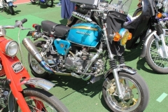 IMG_0594 (640x427)
