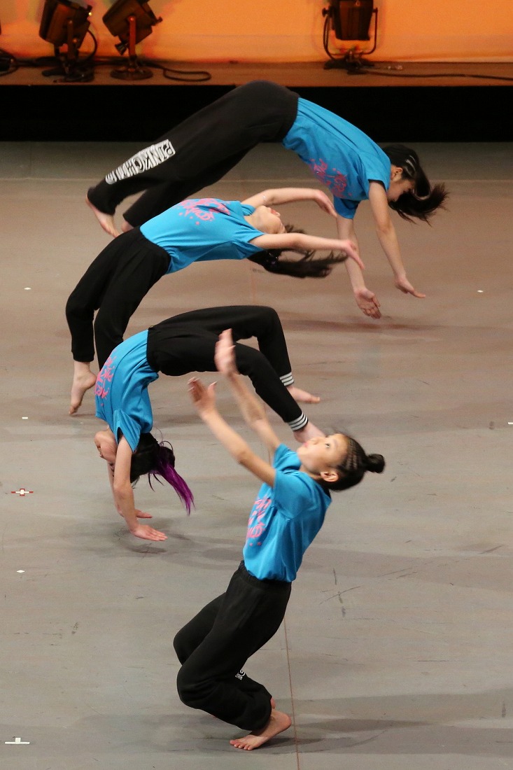 pdf182acro2-91.jpg