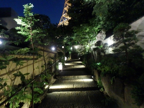 P7143041.jpg