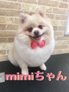 4月7日mimiちゃん
