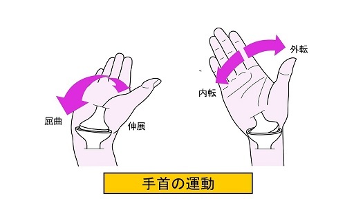 手首の運動