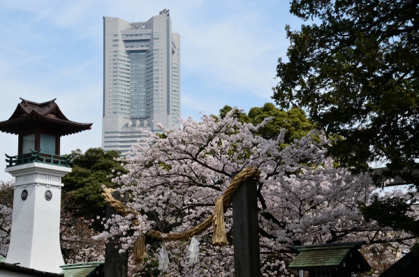 伊勢山皇大神宮7