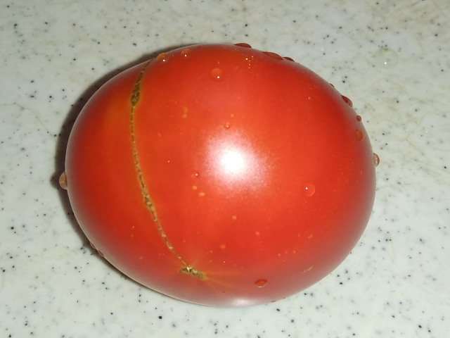 トマト0804