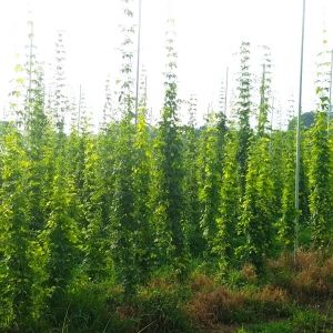20180716_165617.jpg