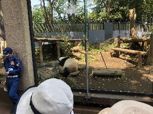上野動物園 (2)