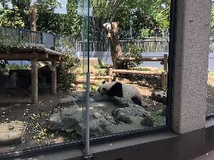 上野動物園 (3)