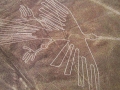 Nazca-geoglyphs.jpg