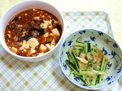 CAI_180628_5192 豆腐と茄子の麻婆煮・胡瓜、ピーマン、玉葱の中華風胡麻だれ和え_VGA