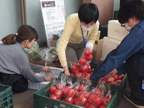 トマトが出る福島復興バザール