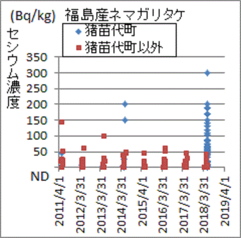 過去最高のセシウムが見つかった福島産ネマガリタケ