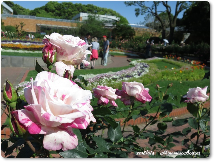 福岡市植物園 (201)