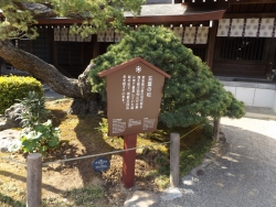 20180430水前寺公園15