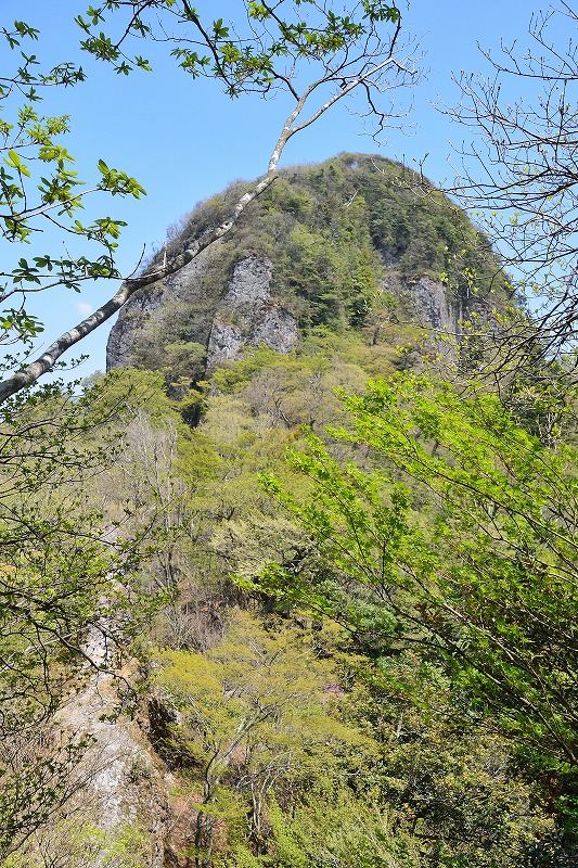 鷹ノ巣山 (24)