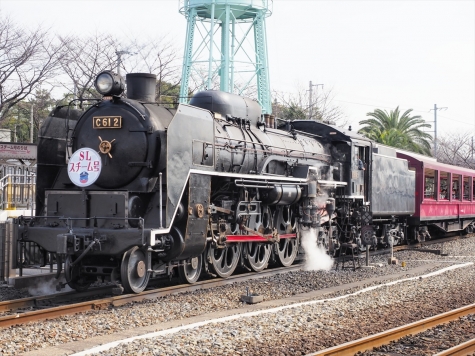 蒸気機関車 C61形 2号機 ～SLスチーム号～【京都鉄道博物館】