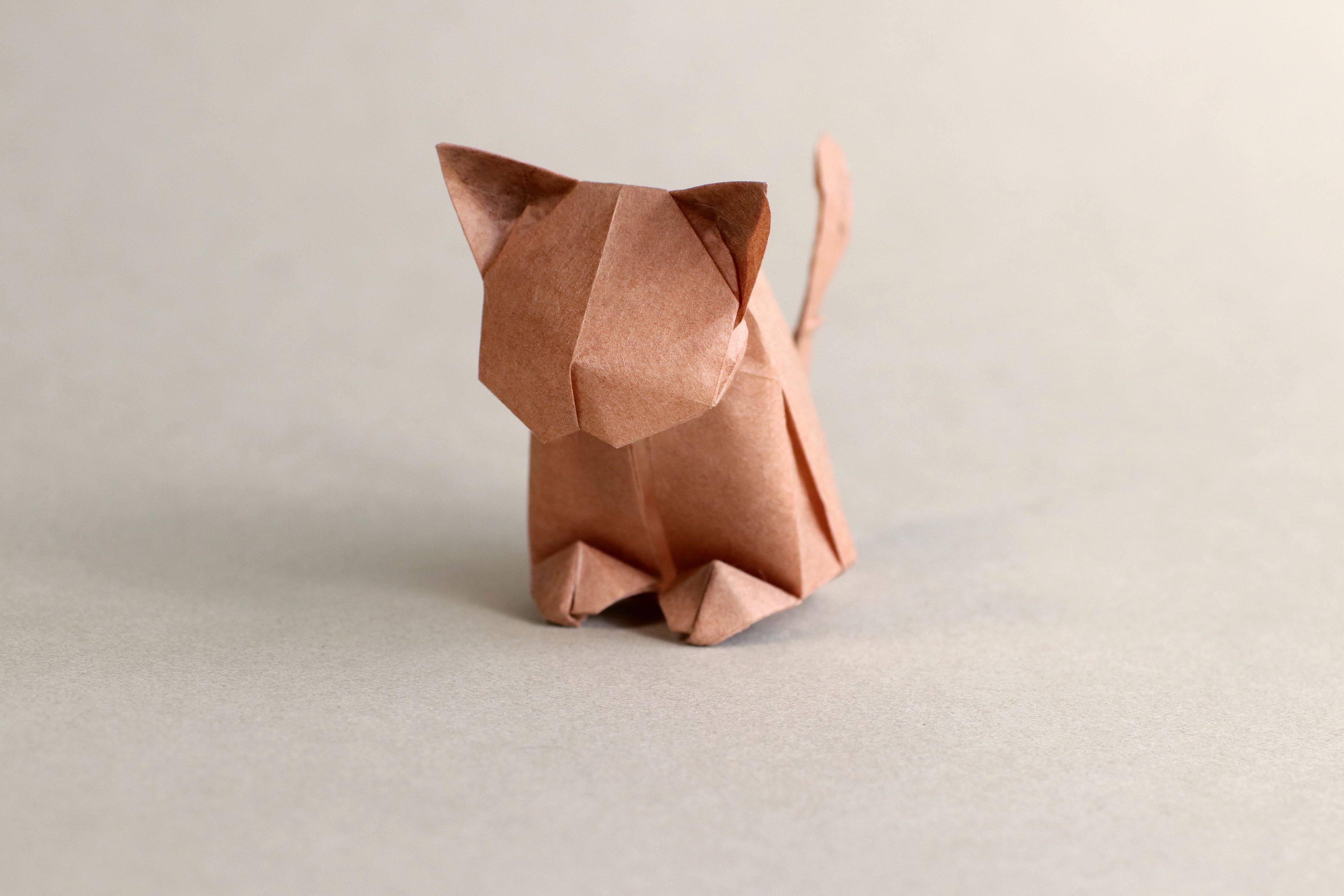 猫 折り紙 かわいい 動物 Hoken Nays.