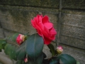 DSCN5152.jpg