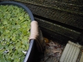 DSCN5404.jpg