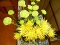DSCN5724.jpg