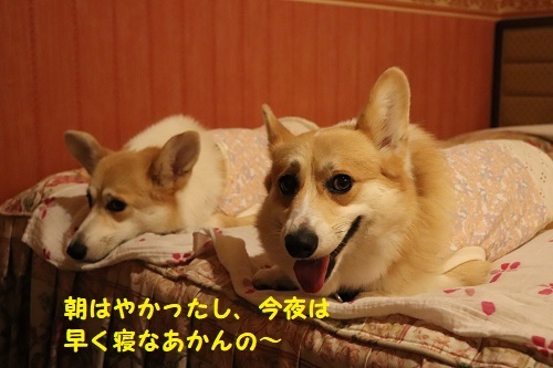 はよ寝るで