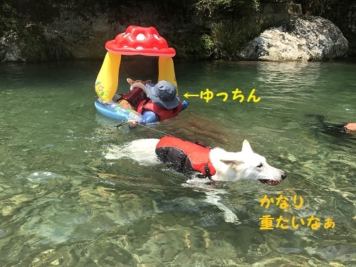 ゆきくんありがと
