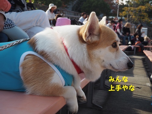 7みんな上手