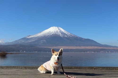 21富士山バック