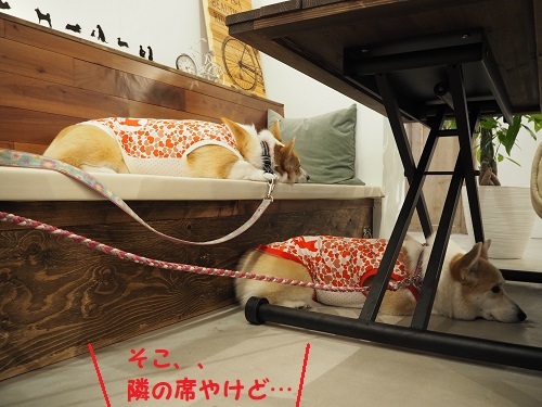 36となりの席