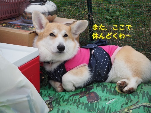69やすんどく