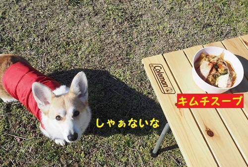 24スープと芹ちゃん