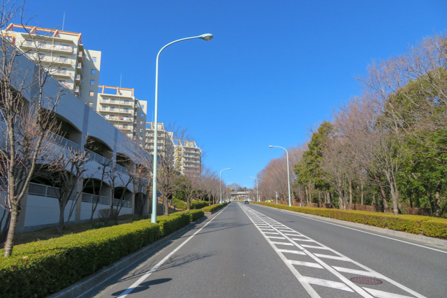 橋本(2)