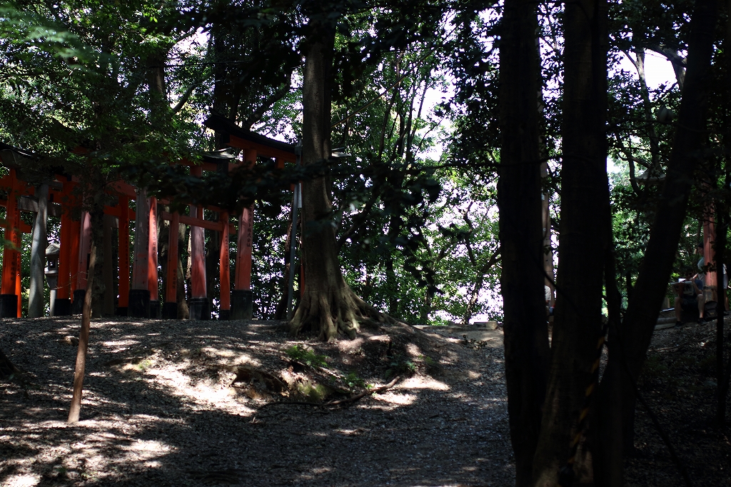 inosaka23.jpg